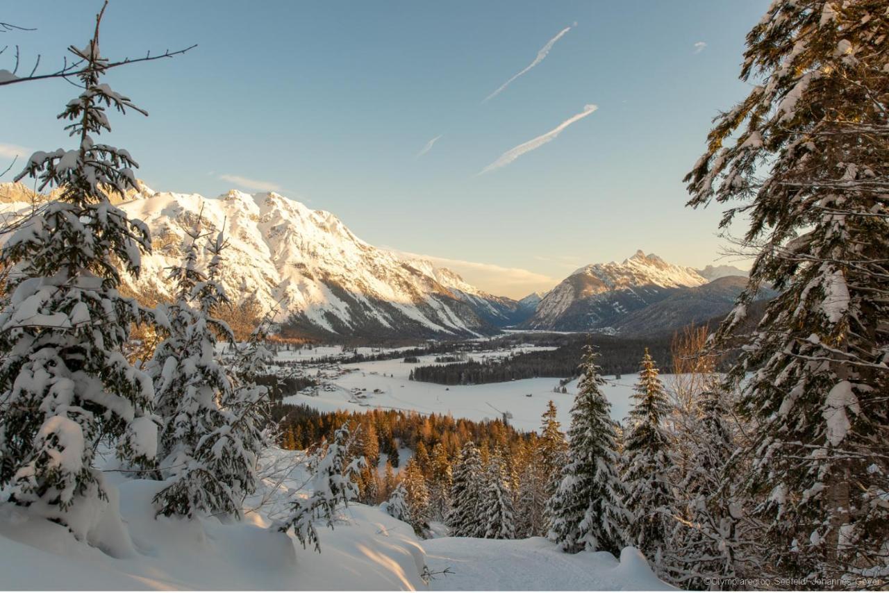 Das Valdo Daire Seefeld in Tirol Dış mekan fotoğraf